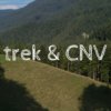 CNV et autres approches | Trek CNV - plongée en forêt | Vincent Delfosse