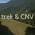 CNV et autres approches | Trek CNV – plongée en forêt | Vincent Delfosse
