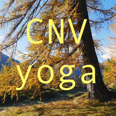 CNV et autres approches | Stage résidentiel dans les Grisons | CNV, Yoga et nature | Vincent Delfosse
