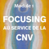 CNV et autres approches | CNV et Focusing, module 1 | Hélène Domergue-Tappolet