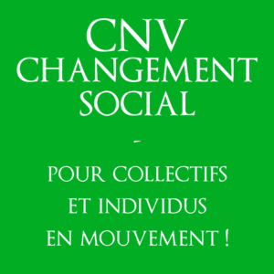 CNV et autres approches | Communication NonViolente et changement social | Vincent Delfosse