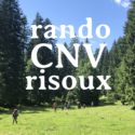 CNV et autres approches | Trek CNV – week-end en forêt | Vincent Delfosse – ANNULE