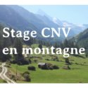 Stage CNV en montagne | Séminaire Thématique | cheminer avec authenticité dans nos relations | Vincent Delfosse