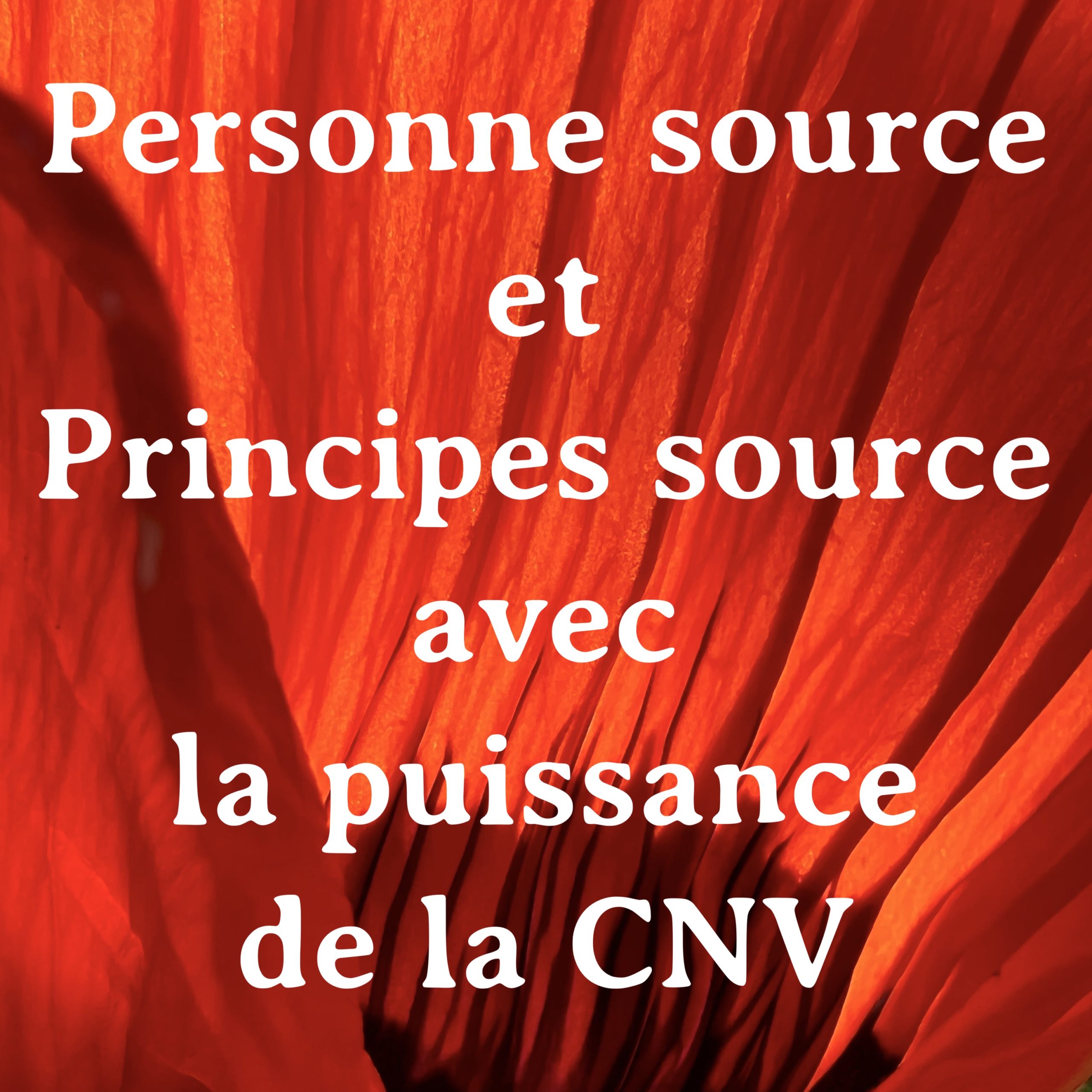 CNV et autres approches | Principes source, Personne source & CNV | Vincent Delfosse