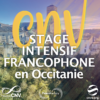 Séminaire thématique | Stage Intensif Francophone de CNV | Vincent Delfosse & équipe internationale