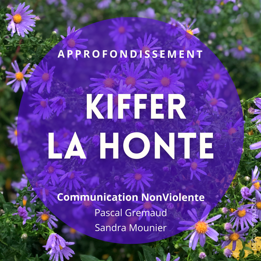 Séminaire thématique | Kiffer la Honte  | Pascal Gremaud, Sandra Mounier